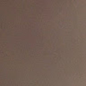 Meet your Posher, Dane